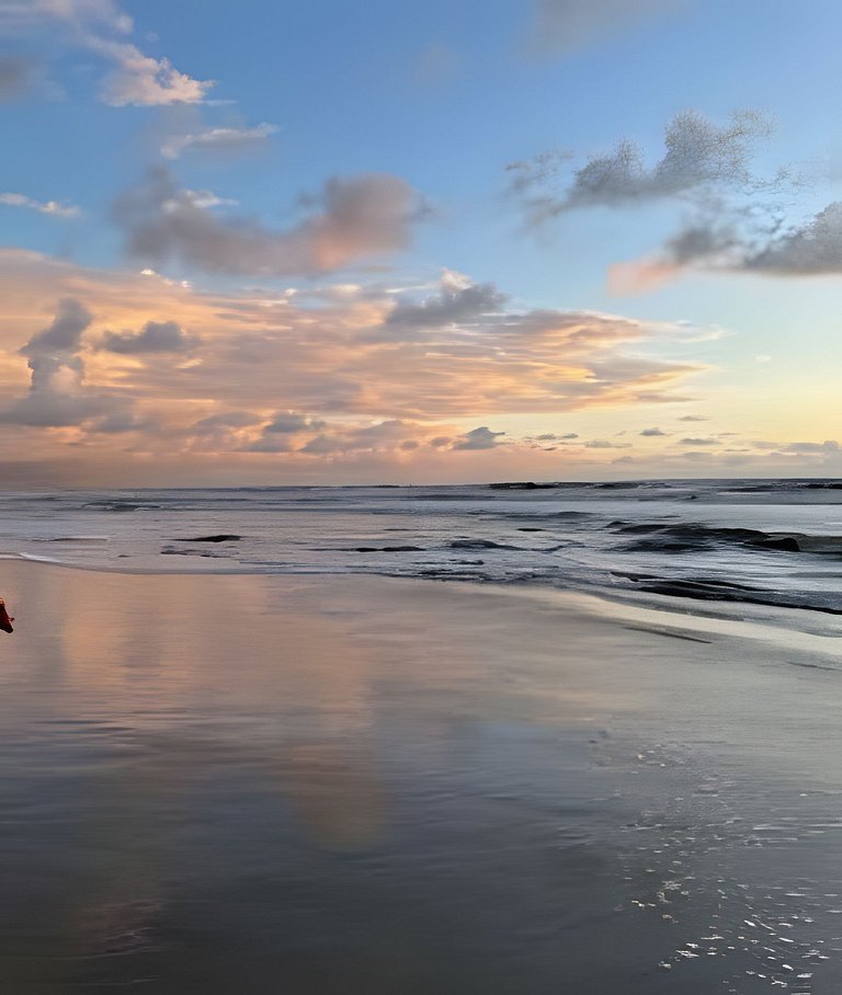 Flamingo pé na areia Matinhos - 209 -2 Quartos- Vista do mar